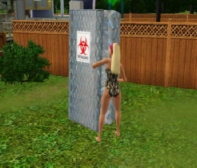 Sims Sex Objects 98